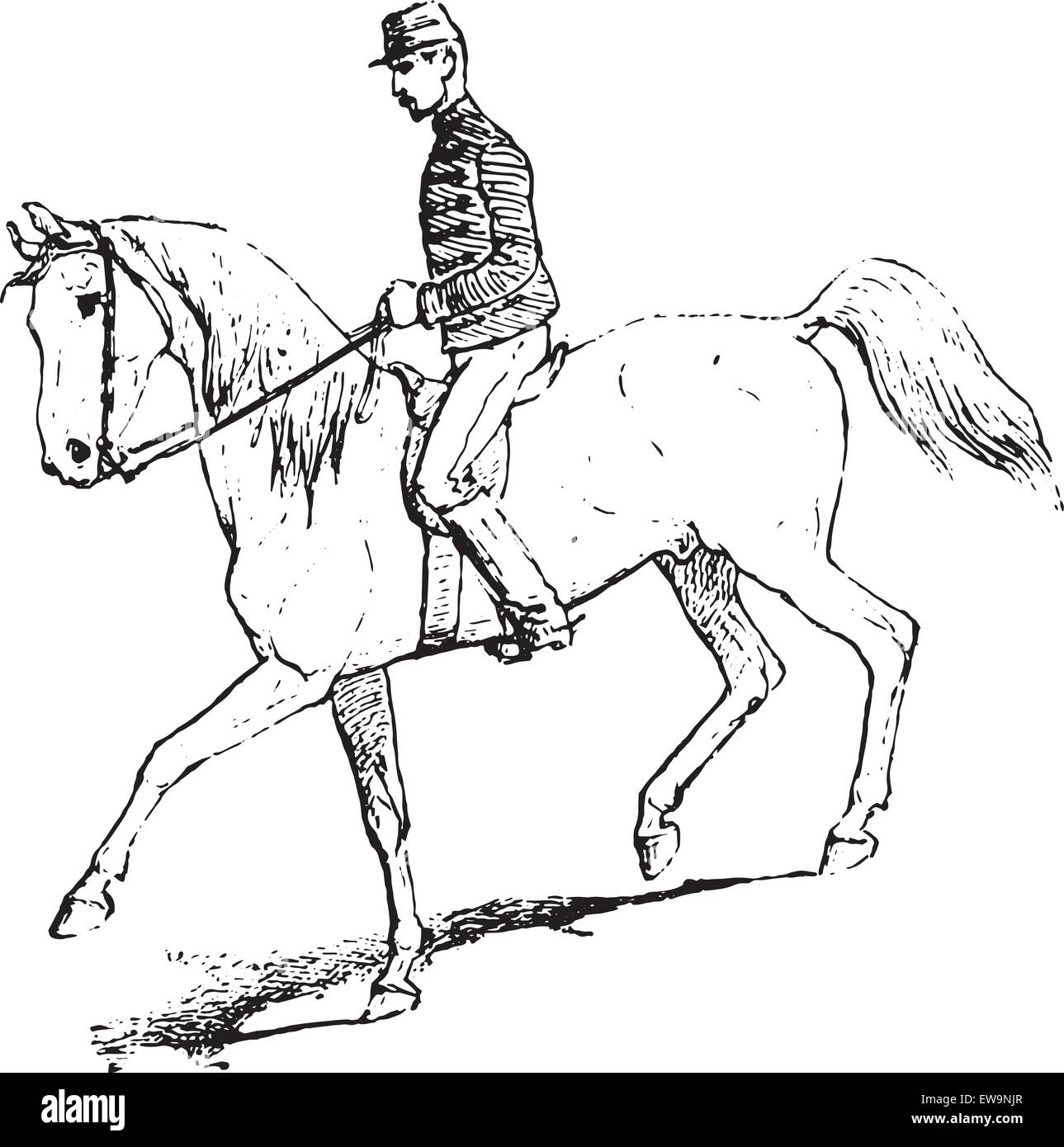The Passage (riding horse), vintage engraved illustration. Dictionary
