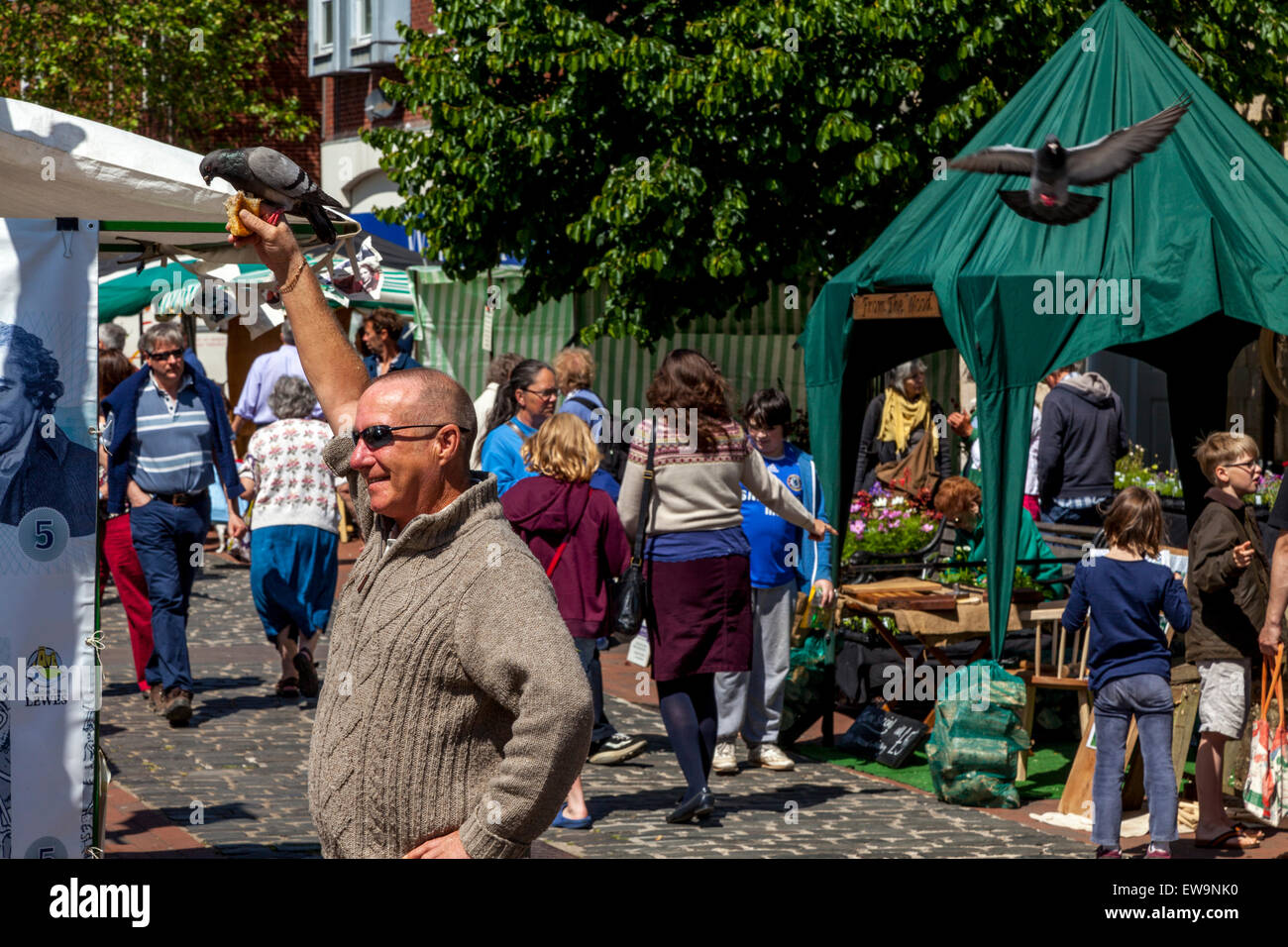 A Man Feeding Pigeons, Lewes Farmer's Market, Lewes, Sussex, England Stock Photo