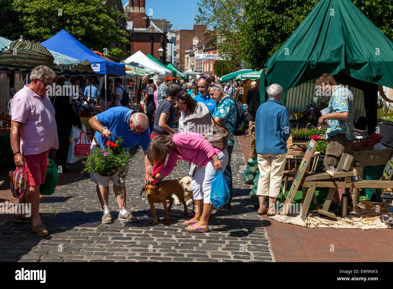 Lewes Farmer's Market, Lewes, Sussex, England Stock Photo