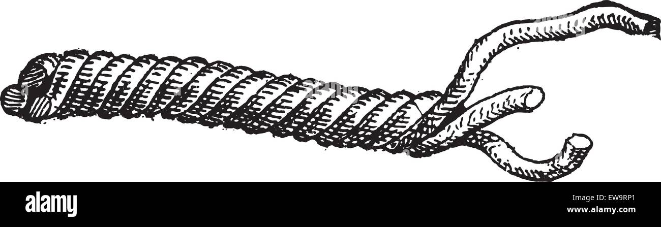 3 Strand Rope: Over 21 Royalty-Free Licensable Stock Vectors