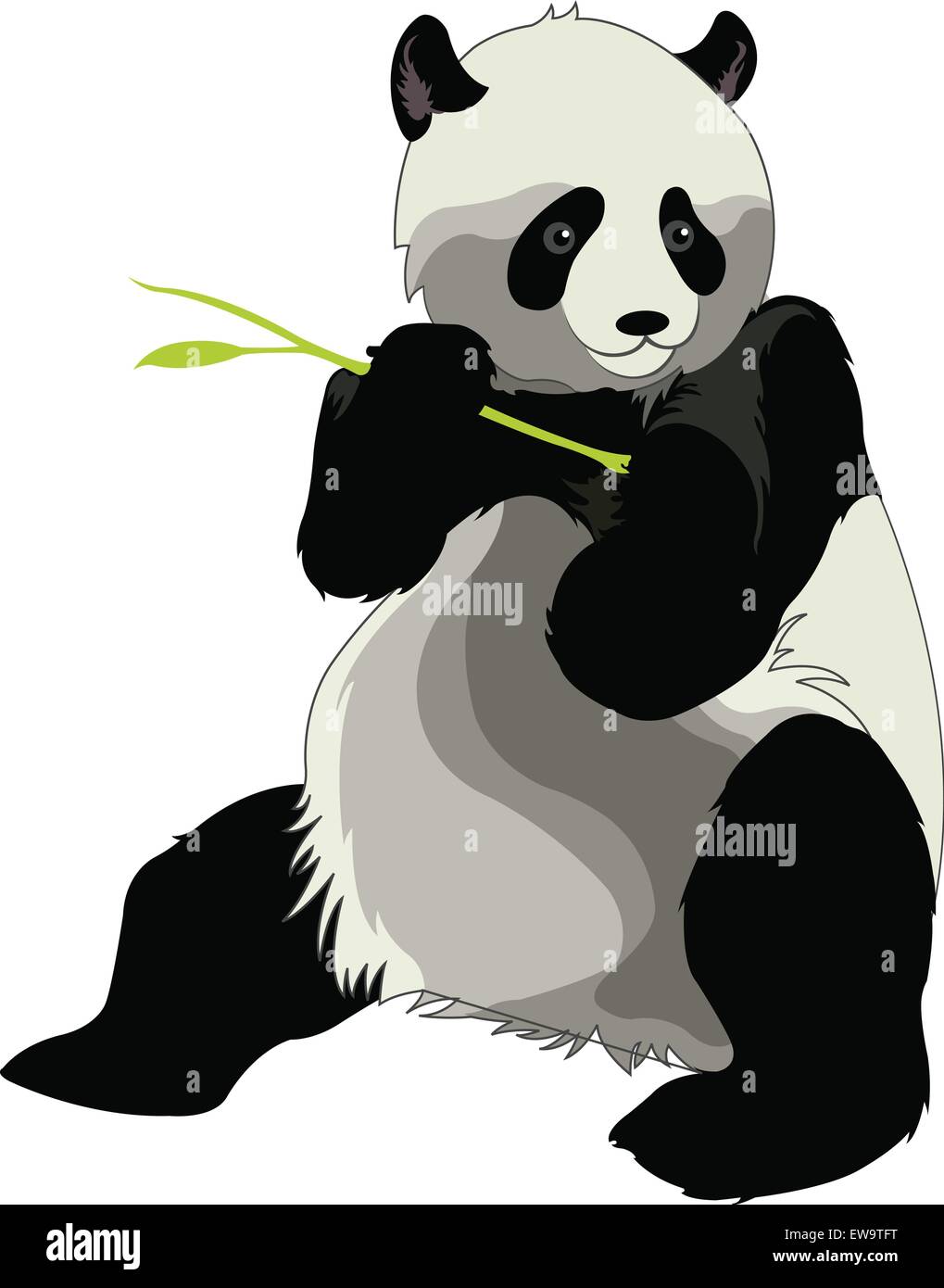 Giant Panda or Ailuropoda melanoleuca, Eating a Bamboo Shoot, vector illustration Stock Vector