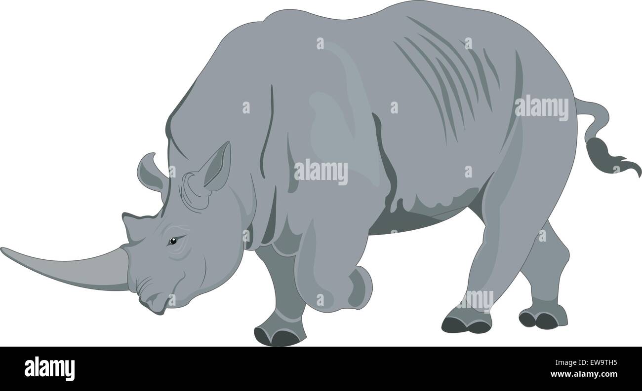 Rhinoceros or Rhinocerotidae, Gray, vector illustration Stock Vector