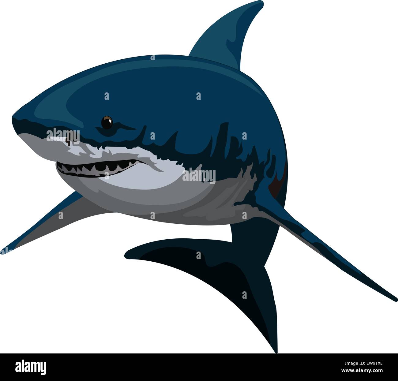 Shark, Blue and Gray, vector illustration Stock Vector