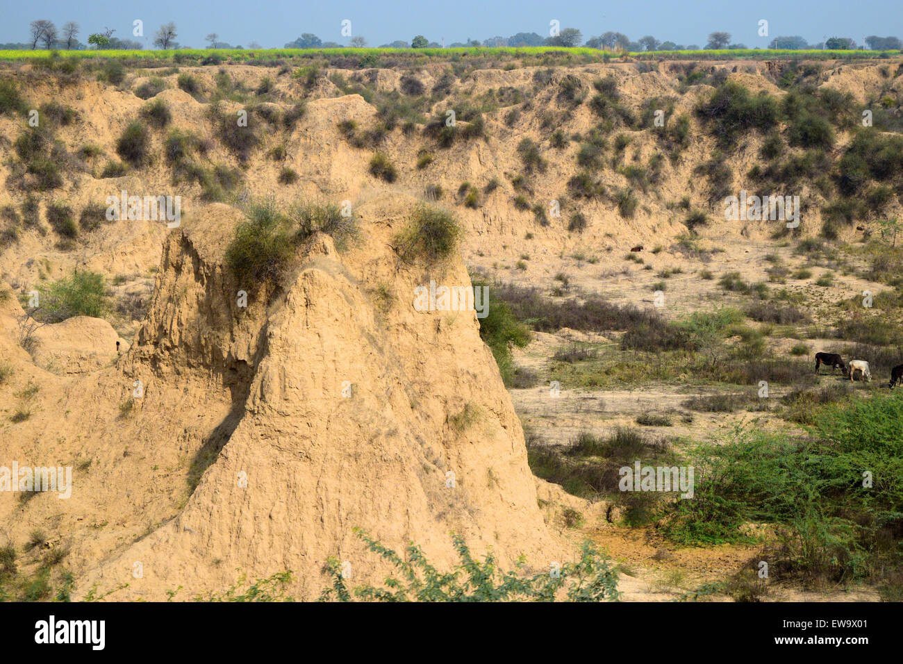 86+ most beautiful images in Chambal in India