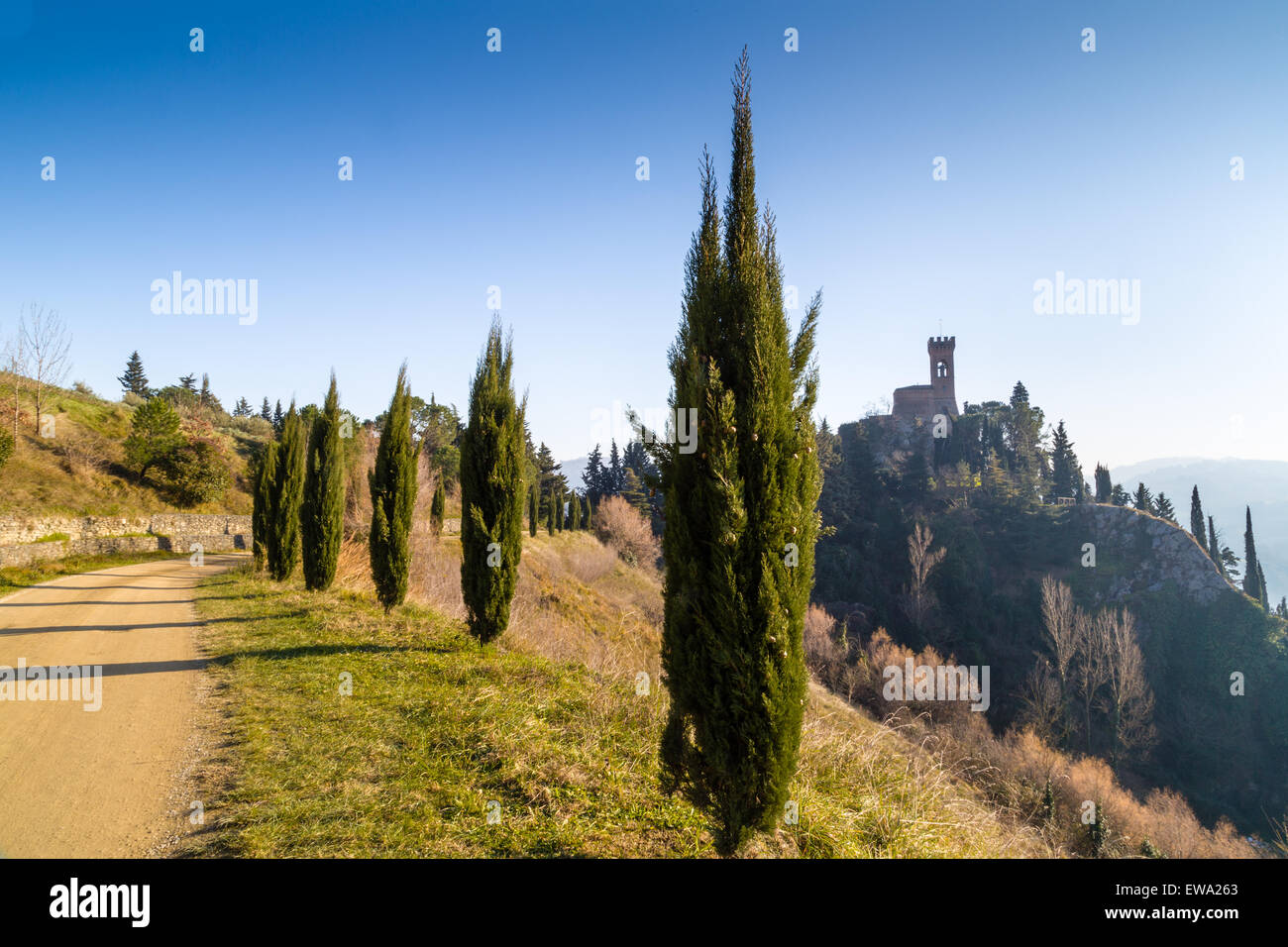 A road with cypresses trees leads to a medieval clock tower on misty hills in a countryside of bushes and cypress trees in a winter sunny day in Italy Stock Photo