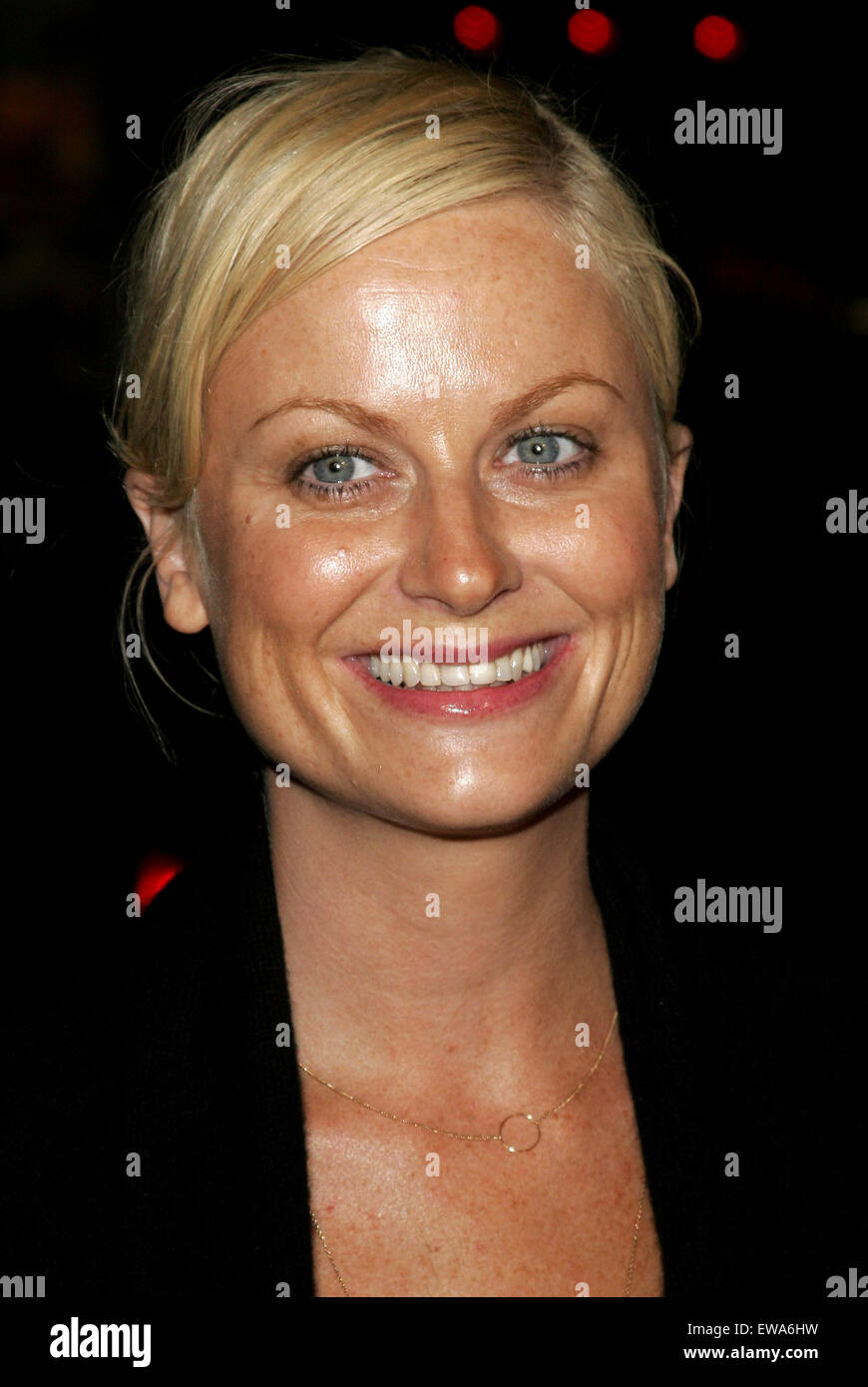 Amy Poehler attends the Premiere of 'Snakes on a Plane' held at the Grauman's Chinese Theater in Hollywood. Stock Photo