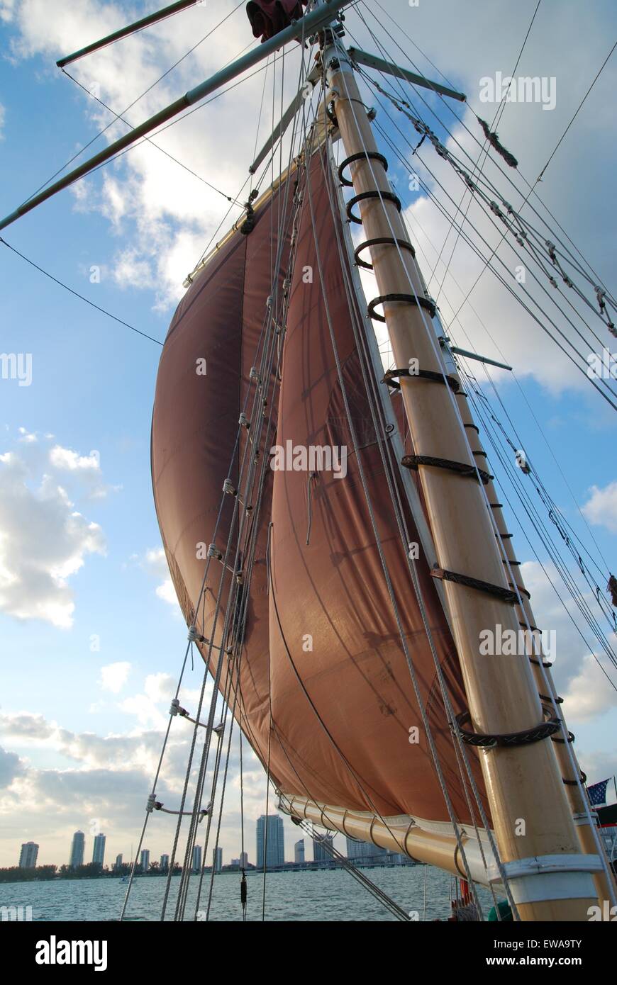 Flapping in the hires stock photography and images Alamy