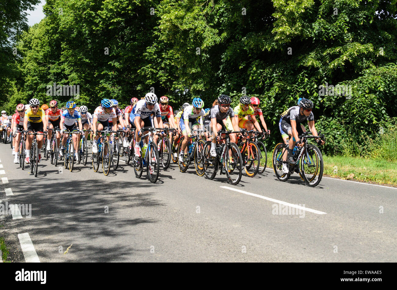 Piddington, Buckinghamshire, UK. 21st June, 2015. The Peloton in the Aviva Womens Tour of Britain rides through Piddington Bucks 11.34 21 June 2015. The Aviva  Women’s Tour is Britain’s only international level cycling stage race. Credit:  Michael Winters/Alamy Live News Stock Photo