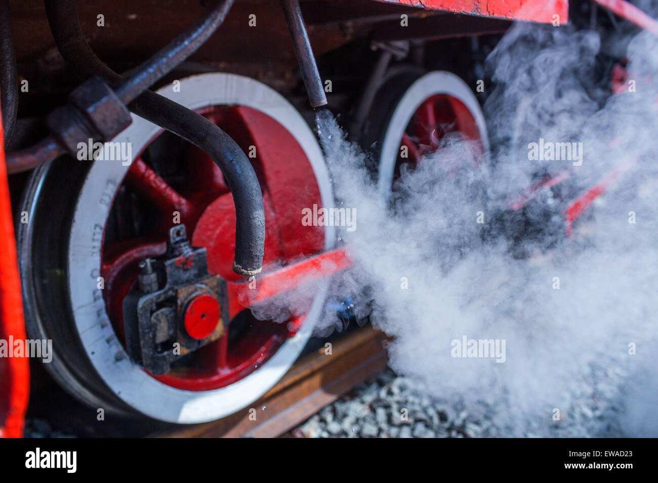 Kluetz, Germany. 20th June, 2015. Steam hisses out of the twenty-ton coal fired 'Px 38-805' train built in 1939 by the Polish State Railways in station of Kluetz, Germany, 20 June 2015. To mark the first anniversary of the tourist train service with the 600 mm track, the circuit will be run with a historic steam train. Photo: JENS BUETTNER/dpa/Alamy Live News Stock Photo