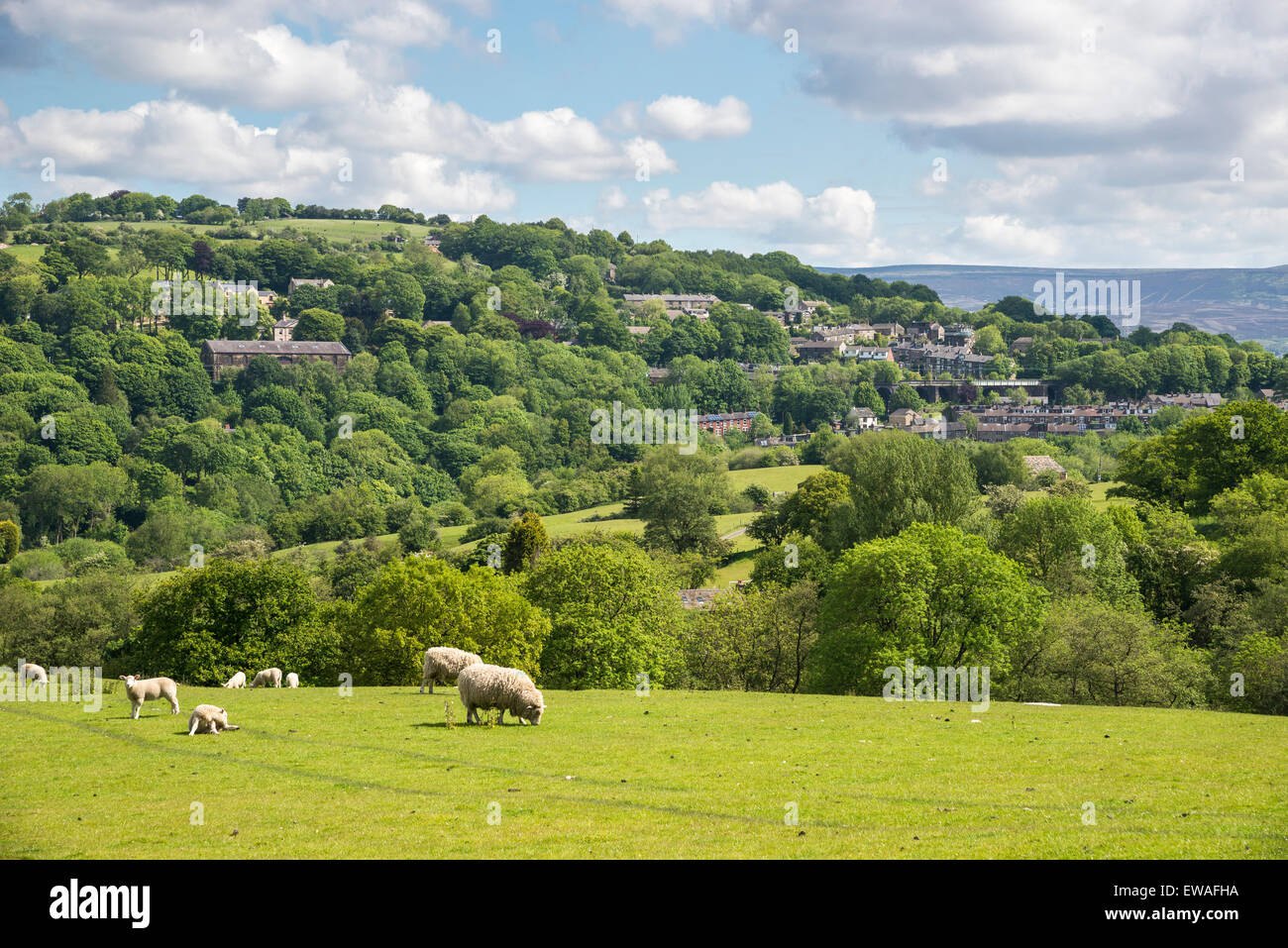 English countryside on a sunny day in June. VIew of the village of