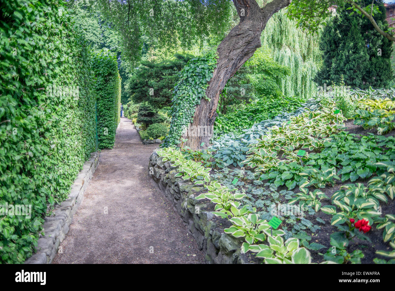 Green mysterious botanical gardens in the spring Wroclaw Stock Photo