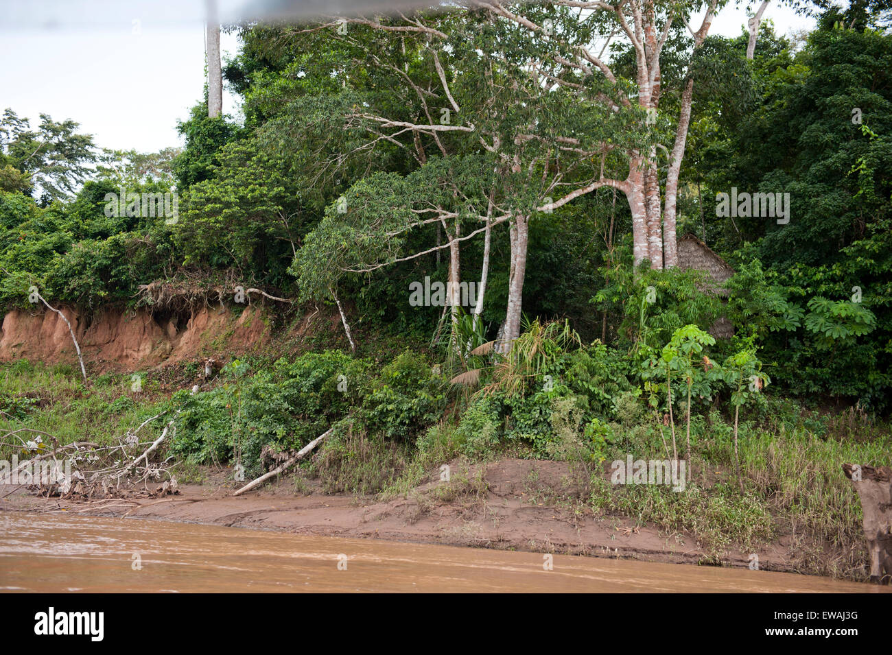 Tambopata Province Stock Photo