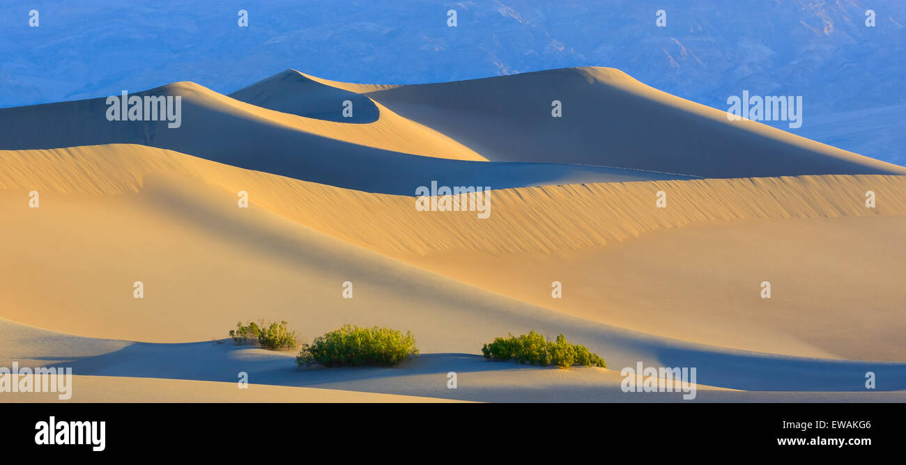 Sunrise in the Mesquite Flat Sand Dunes in Death Valley National Park in California, USA Stock Photo