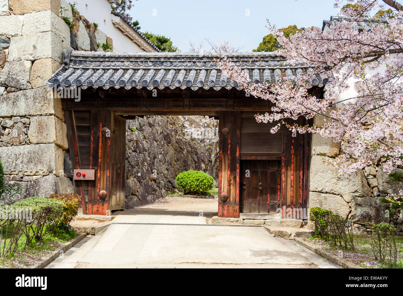 Himeji castle, Japan. The I-no-mon gate with cherry blossoms on one side. A Koraimon gate wedged between defense walls and the Sangoku bori moat. Stock Photo