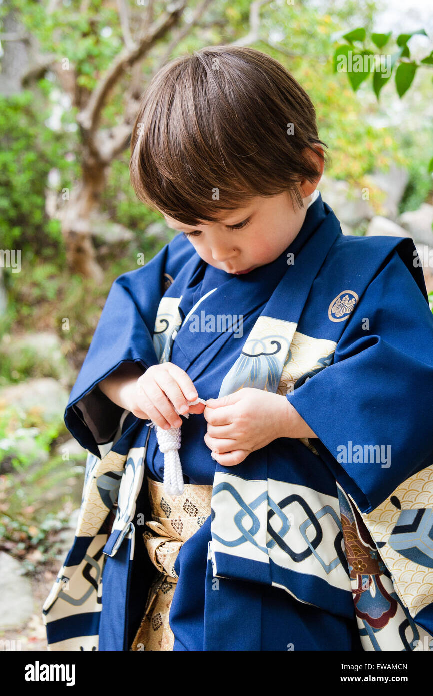 Japanese-English mixed race child, boy, dressed outdoors in blue kimono for  his shichi-go-san ceremony. Looking down and undoing chest cord Stock Photo  - Alamy