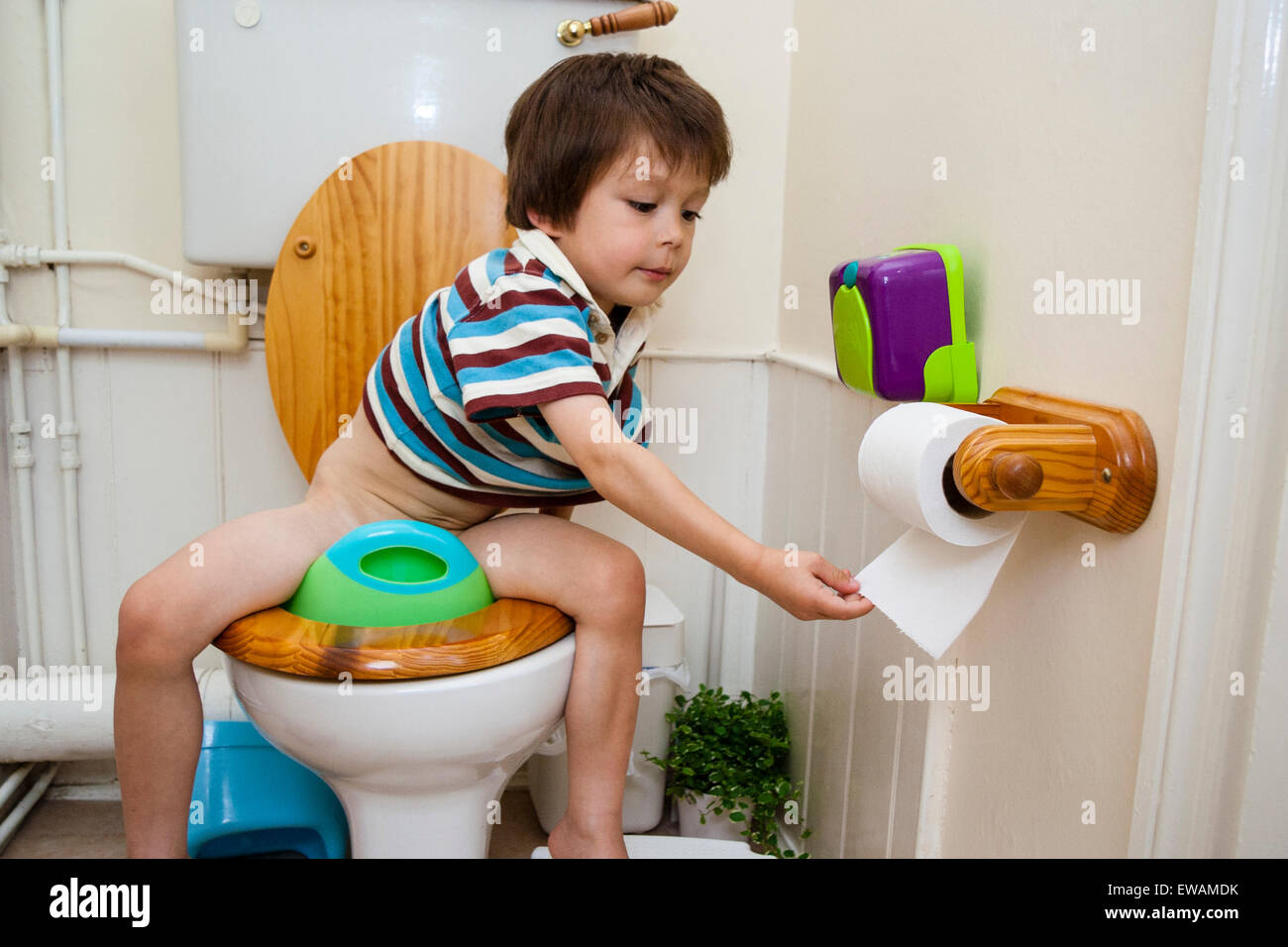 Caucasian child, boy, 4-5 year old, facing while sitting on child toilet seat on toilet and pulling toilet paper from holder on wall next to him. Stock Photo