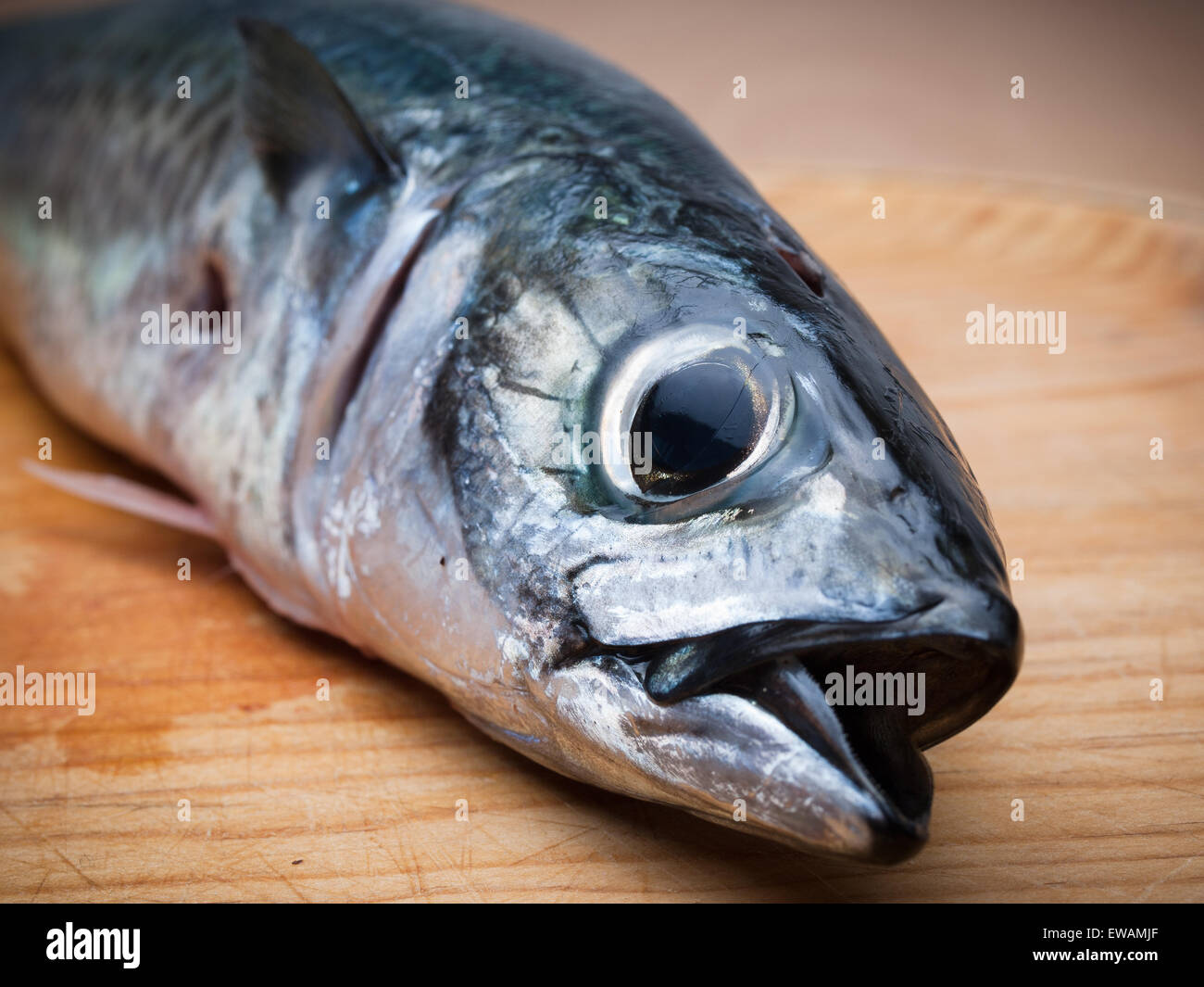Fish Haed Fish head detail hi-res stock photography and images - Alamy