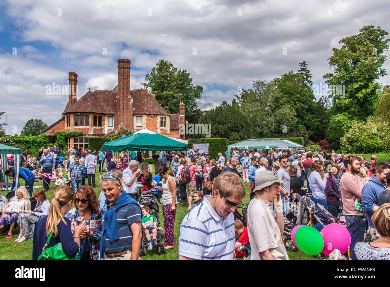 Charity Duck racing at Weir House, Alresford, Hampshire, England. Stock Photo