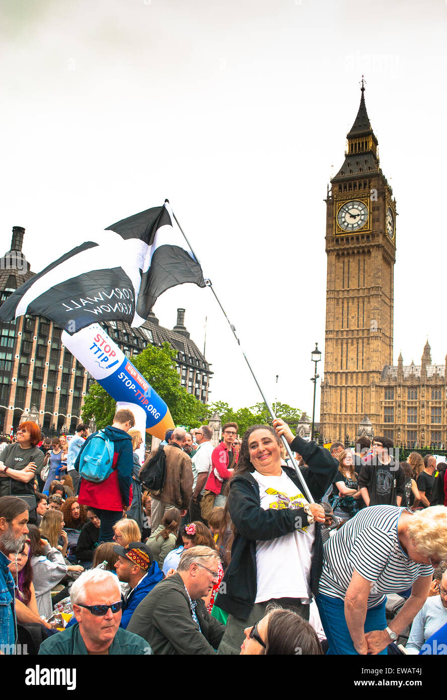 Protested proudly displays Cornish Flag opposite Big Ben during the Anti-Austerity march in London 2015 Stock Photo
