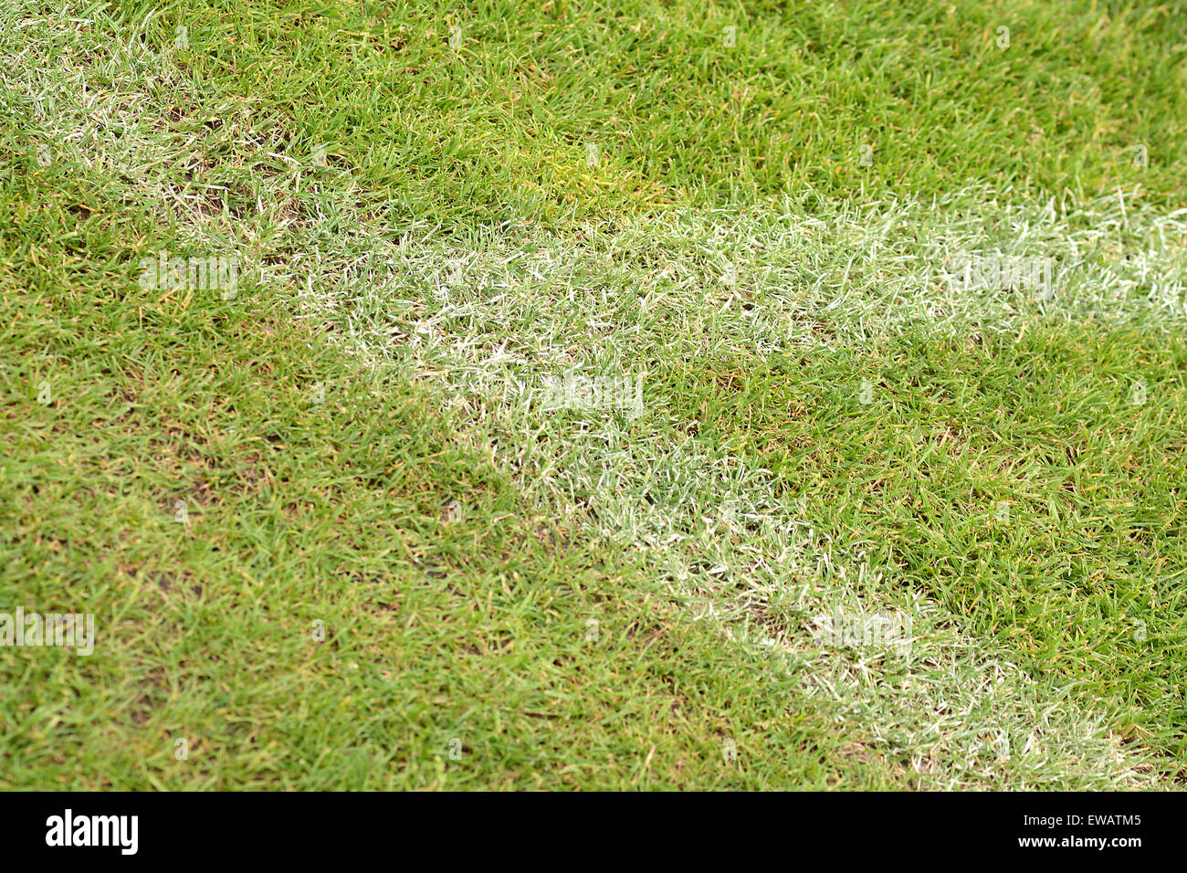 White stripe on the green soccer field from top view Stock Photo Alamy