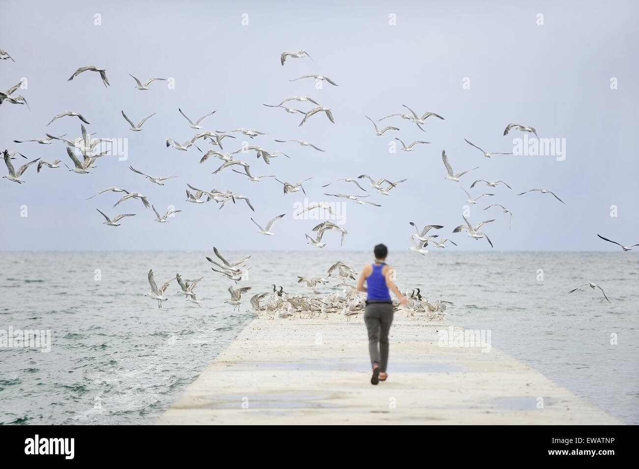 Girl running towards the sea on a pontoon full of seagulls Stock Photo ...