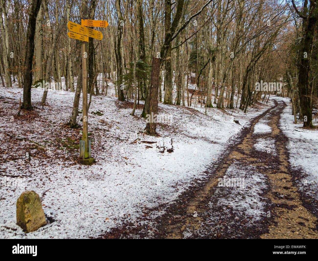 A track, running through snowy woods in Switzerland, with signpost and milestone (bottom left) Stock Photo