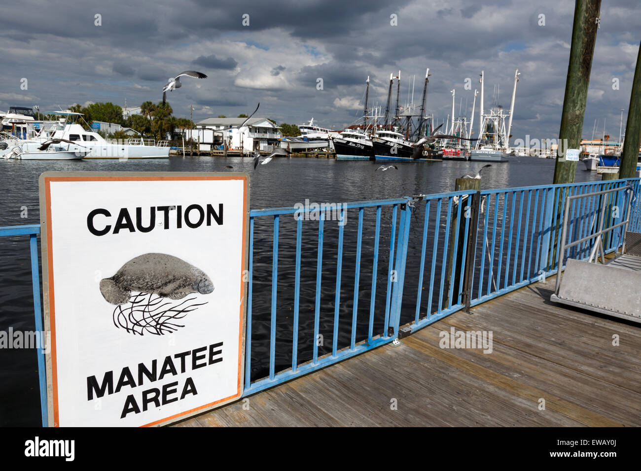 Caution Boaters Watch for Manatee Sign 30x24