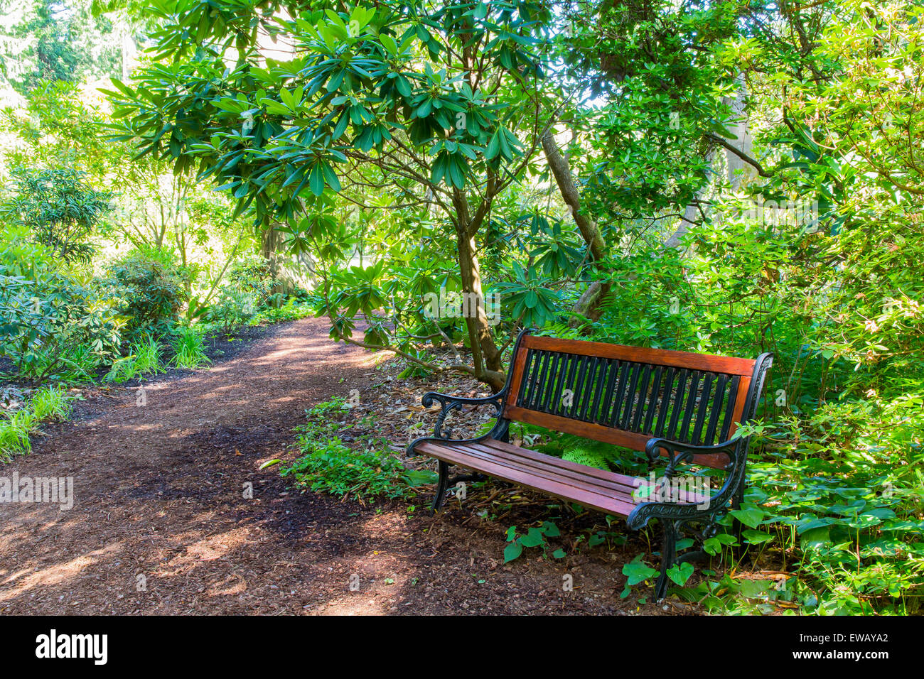 Inviting wood and iron bench on a curving garden walkway in summer Stock Photo