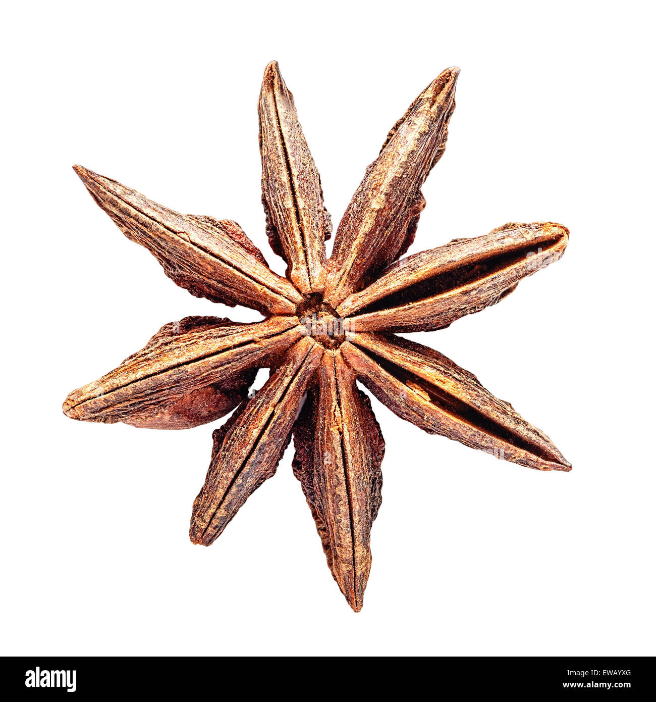 Whole star anise isolated on white background Stock Photo Alamy