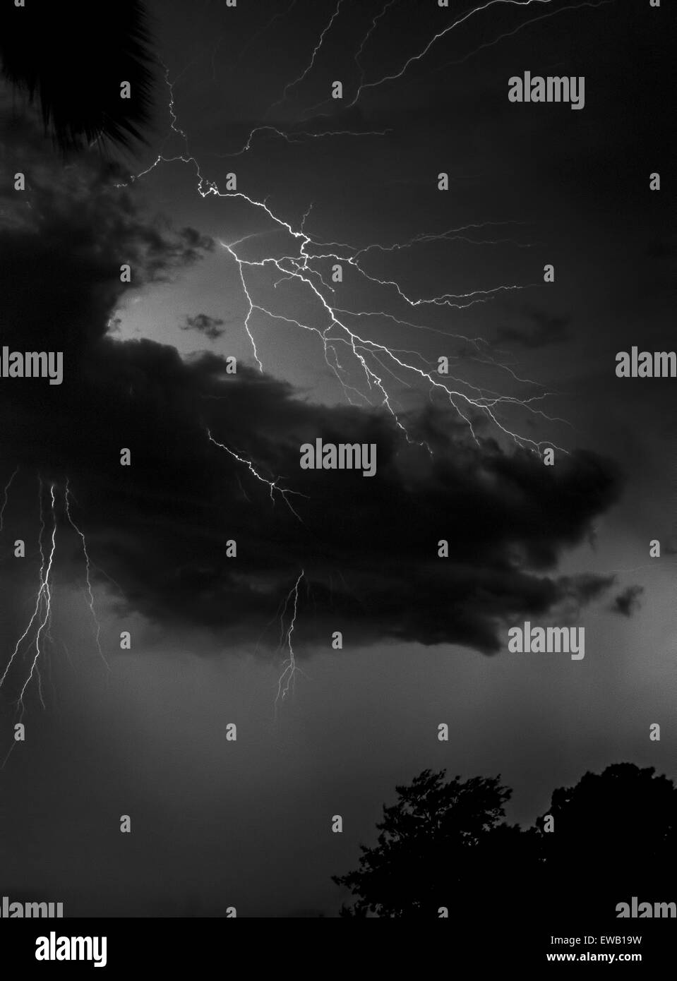 Lightning Over Florida, USA Stock Photo