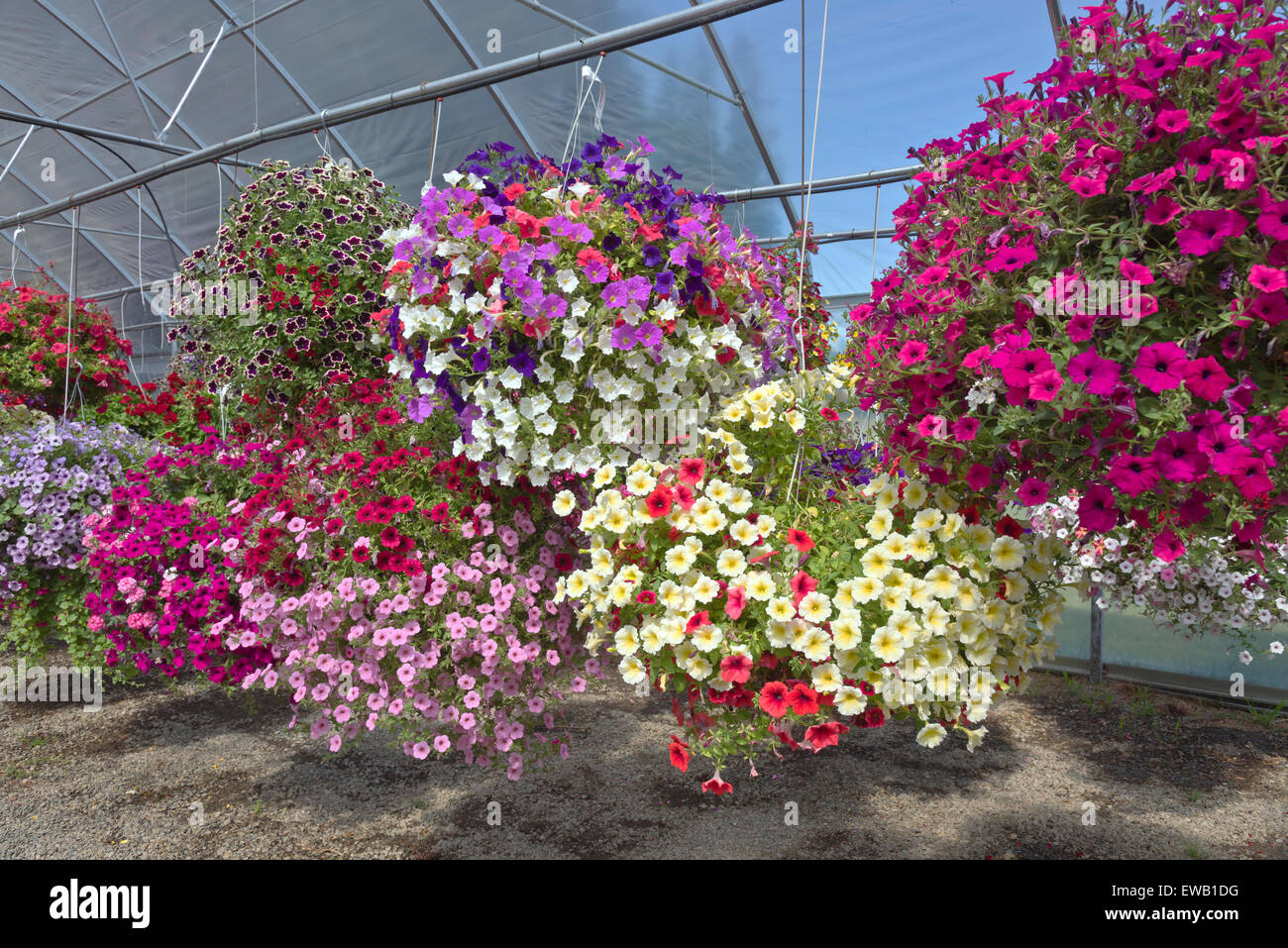 Farm nursery hires stock photography and images Alamy