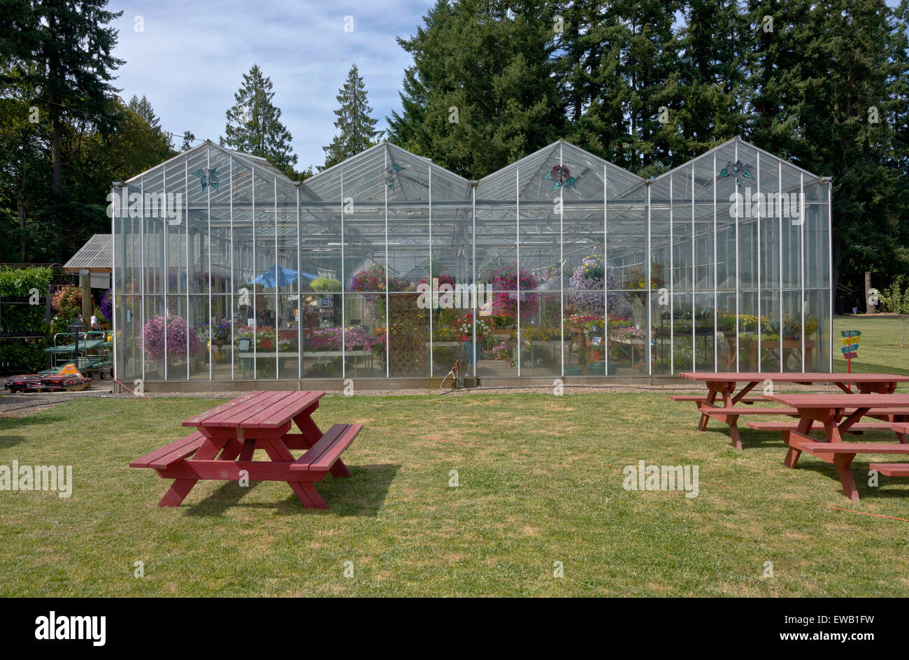 Greenhouse nursery display hires stock photography and images Alamy