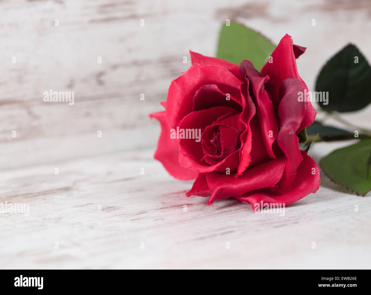 Fabric rose on wooden background with copy space on the left Stock Photo
