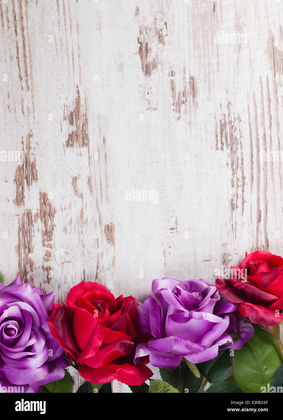 The different rose colors hi-res stock photography and images - Alamy