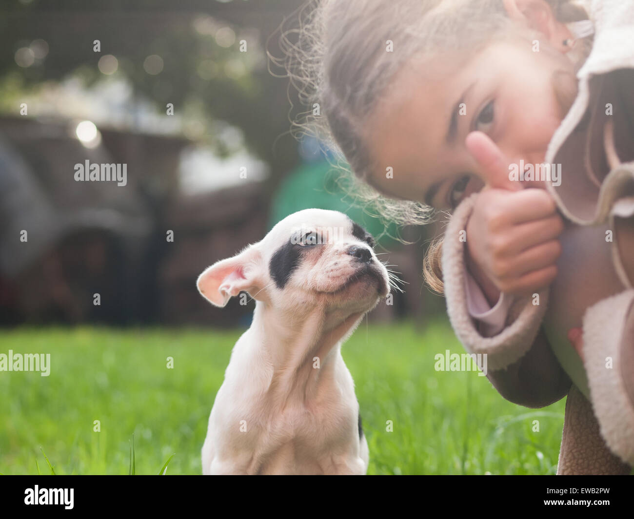 Little girl and a french buldog puppy in a park outdoors Stock Photo