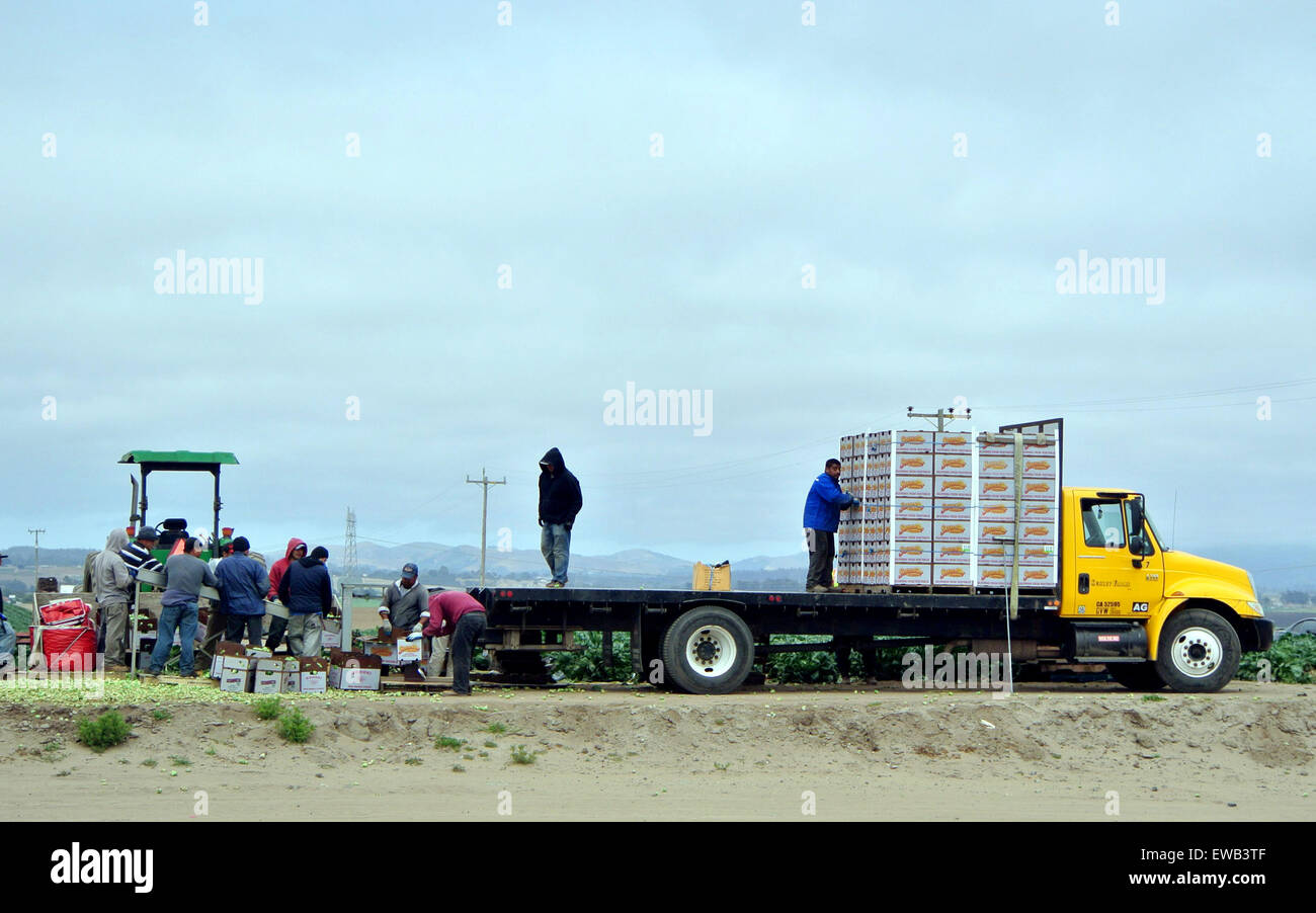 California farm worker hires stock photography and images Alamy
