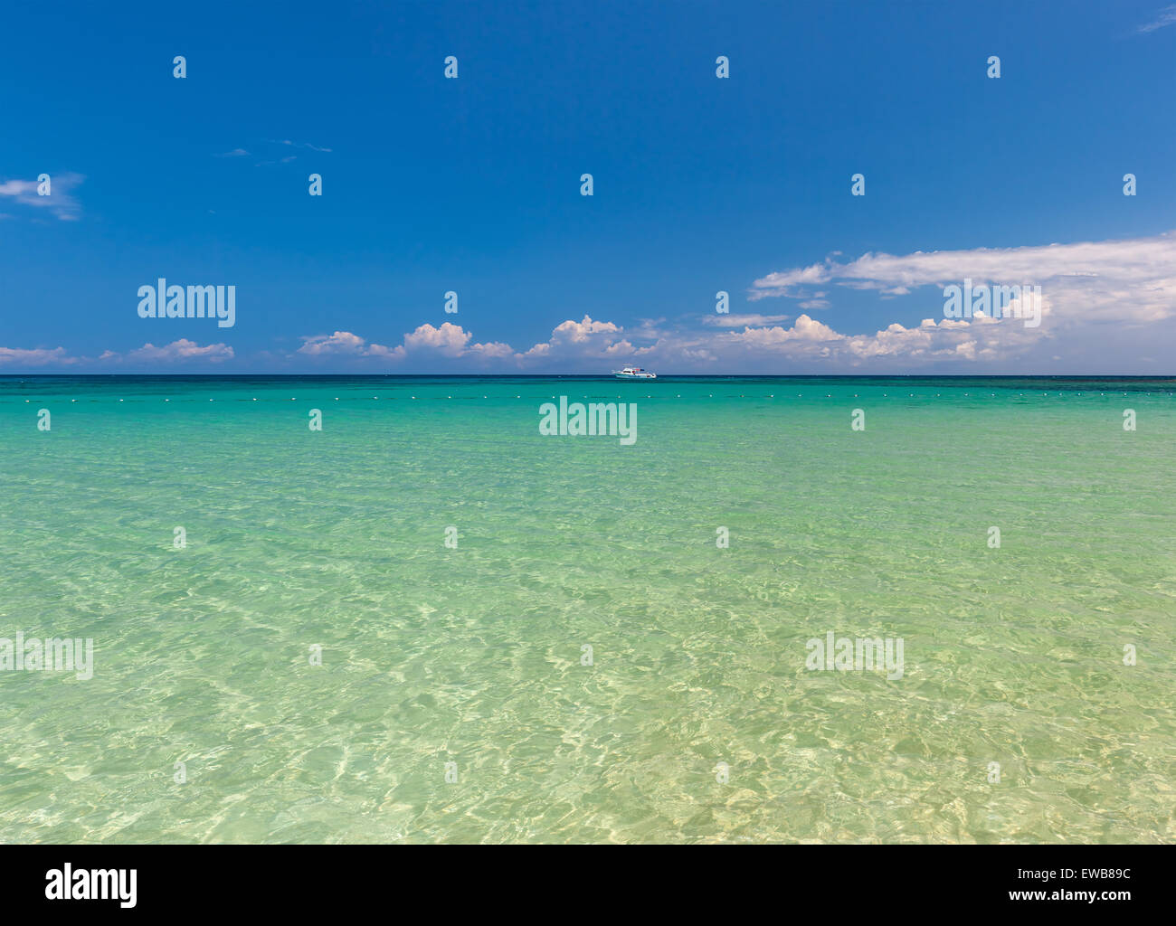 Beach on tropical island. Clear blue water and sky Stock Photo - Alamy