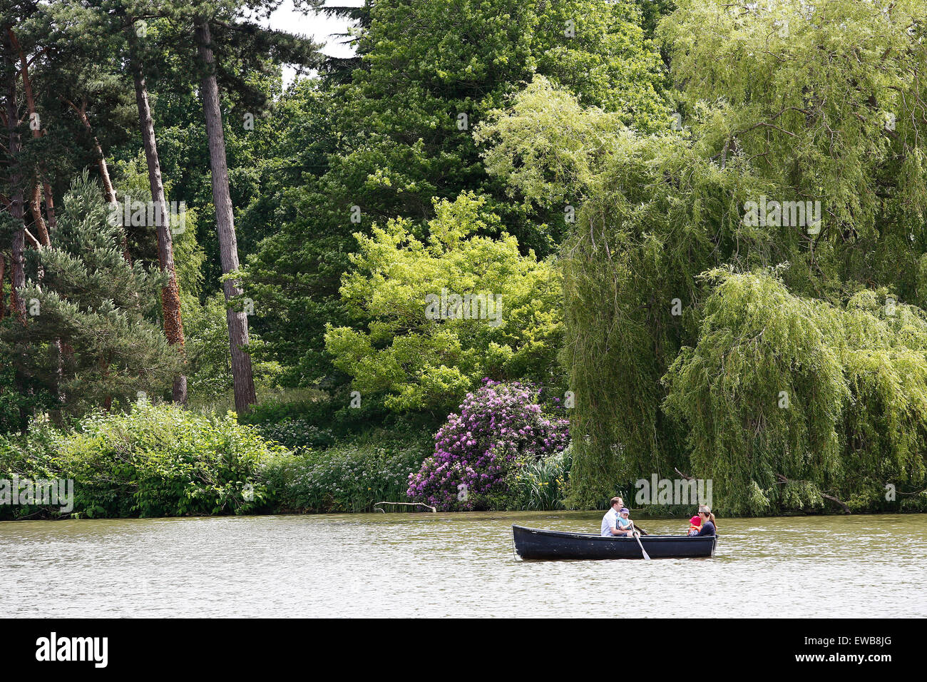 family on a row boat at Hever Castle in Kent UK Stock Photo