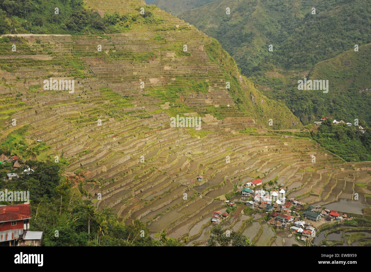 Batad Rice Terraces, North Luzon, Philippines Stock Photo