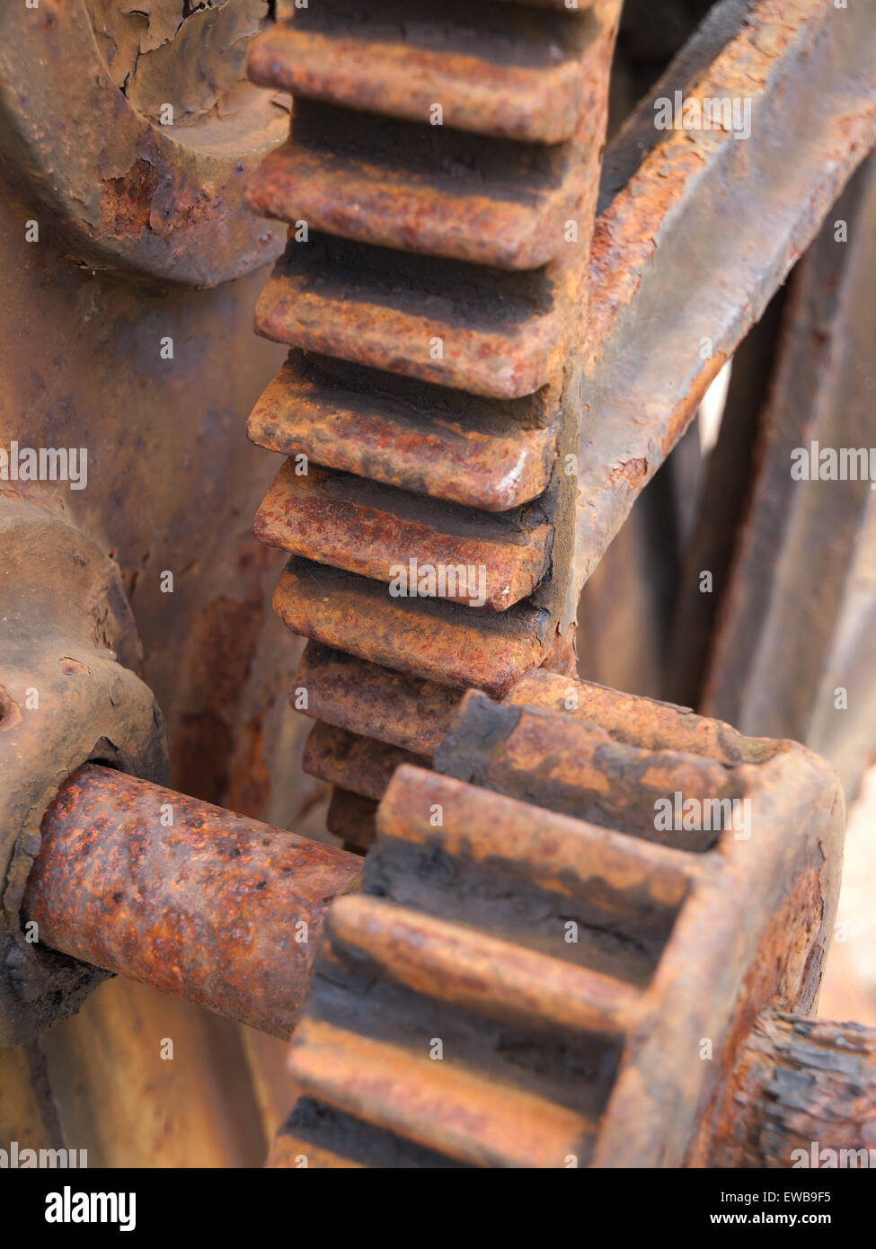 Rusty gear detail of an old machine Stock Photo