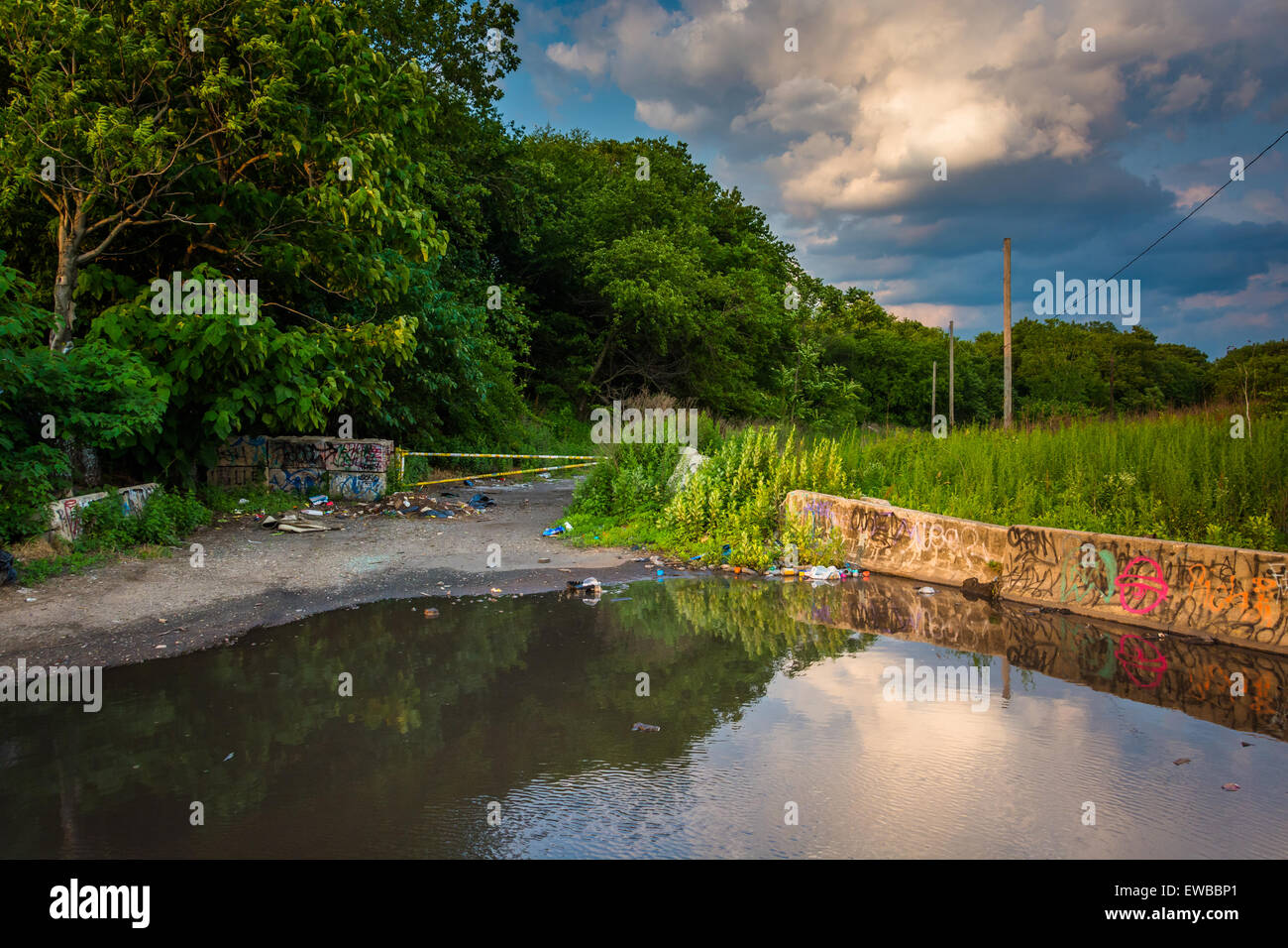 Graffiti and evening sky reflecting in a puddle in Philadelphia ...