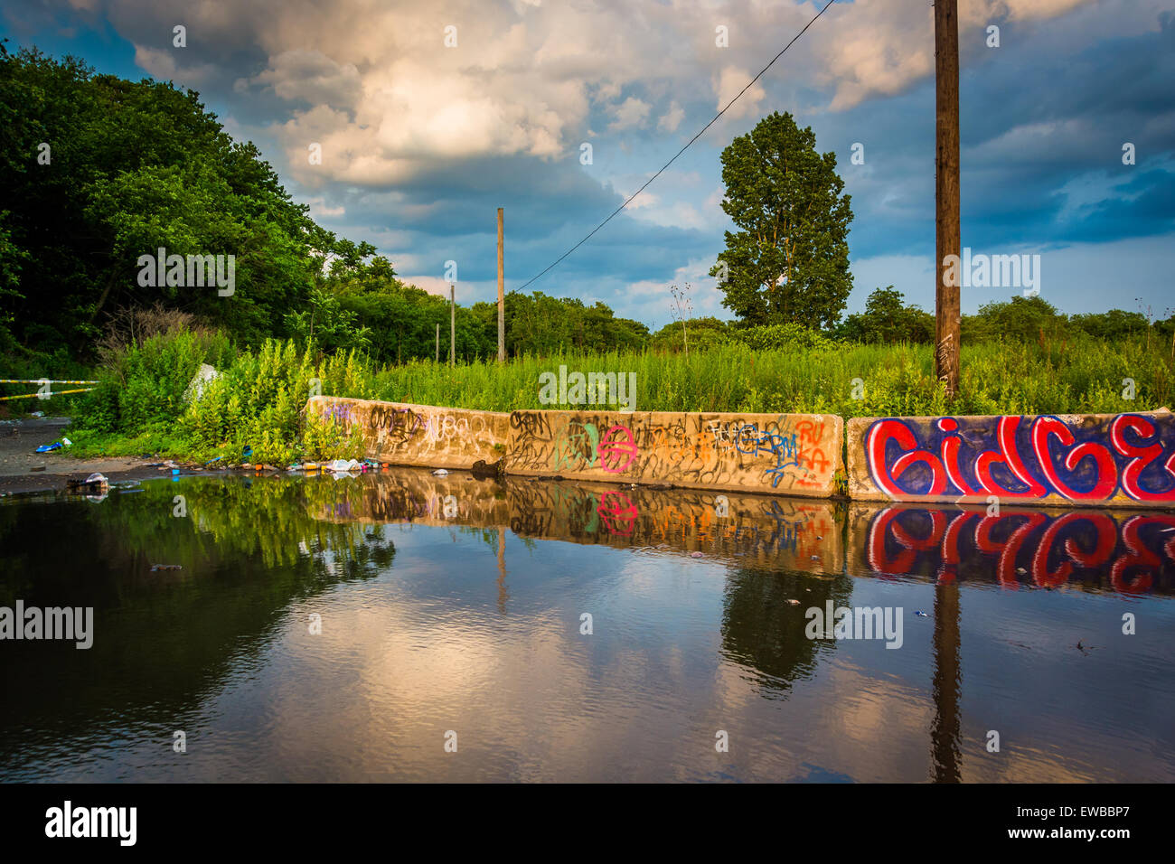 Graffiti and evening sky reflecting in a puddle in Philadelphia ...