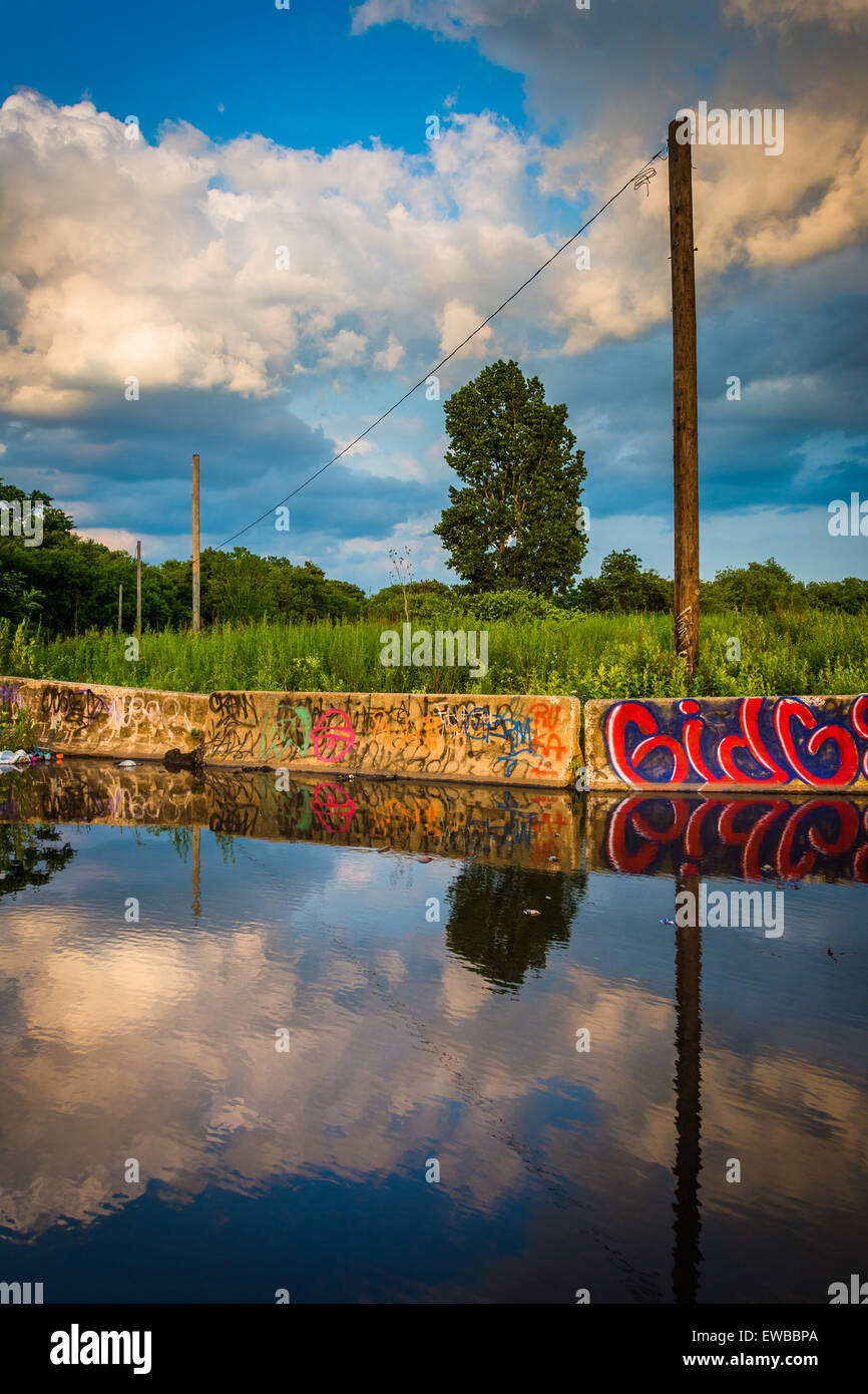 Graffiti and evening sky reflecting in a puddle in Philadelphia ...