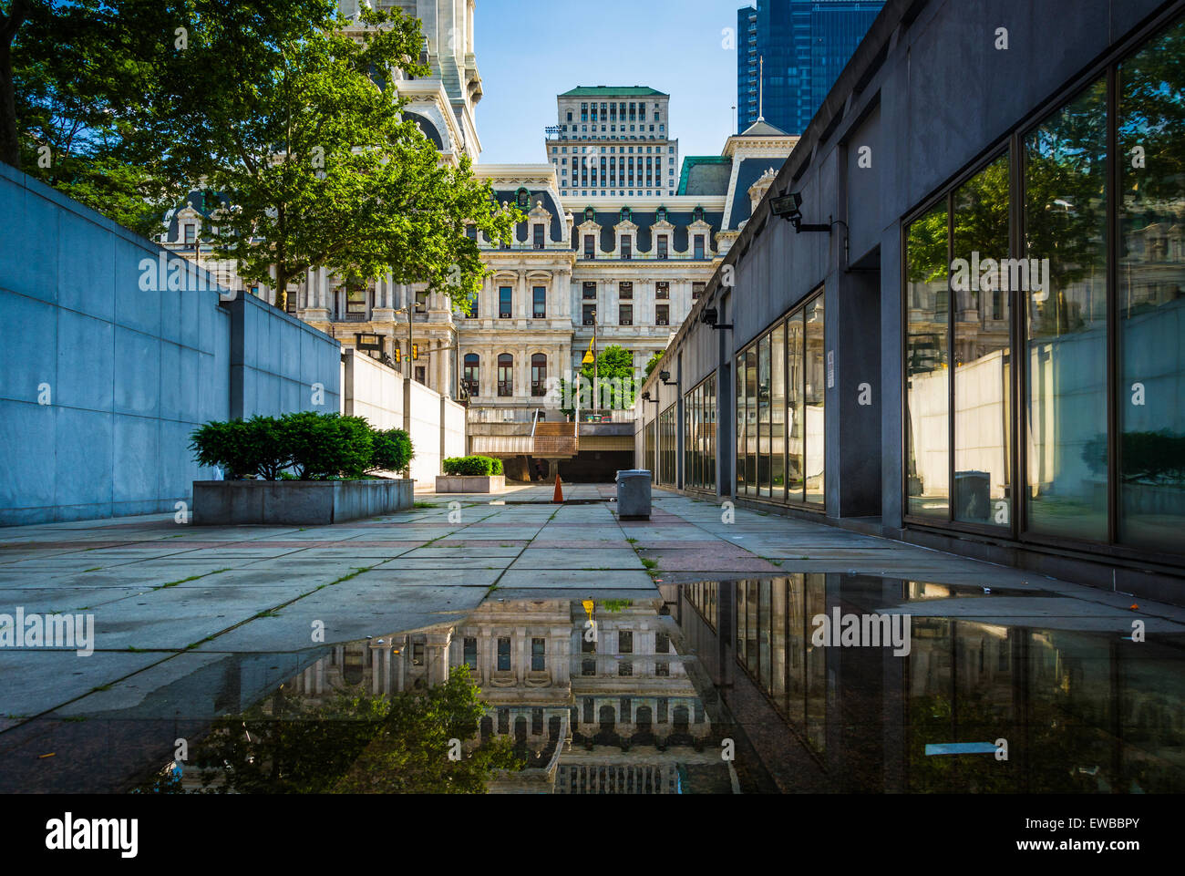 Buildings reflecting in a puddle in Center City, Philadelphia ...