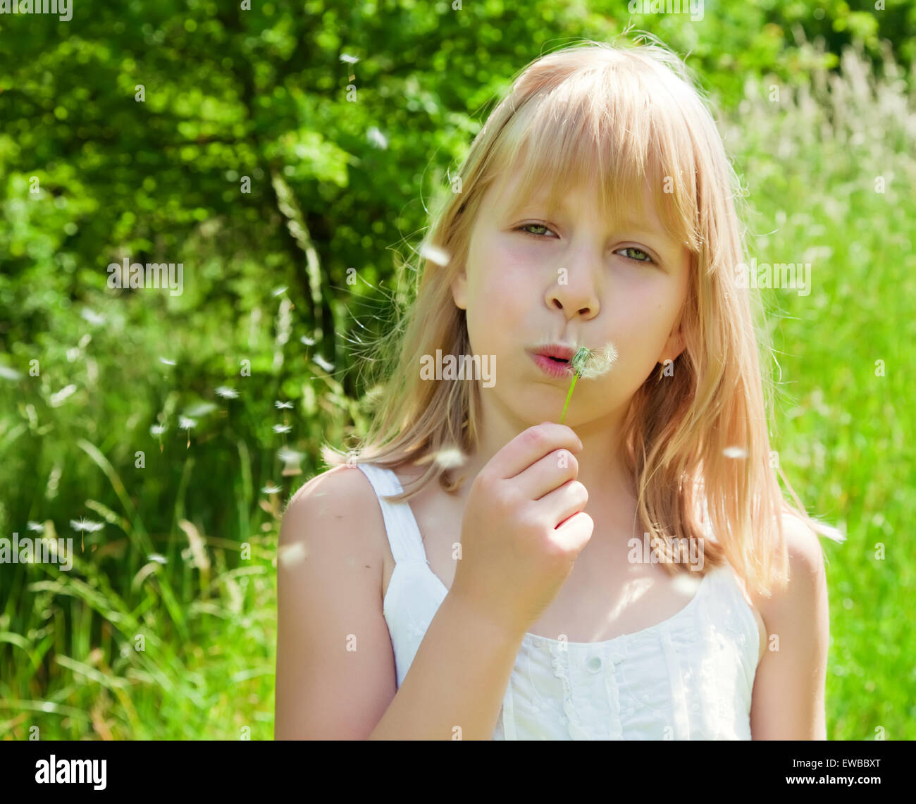 young girl blowing on a dandelion Stock Photo
