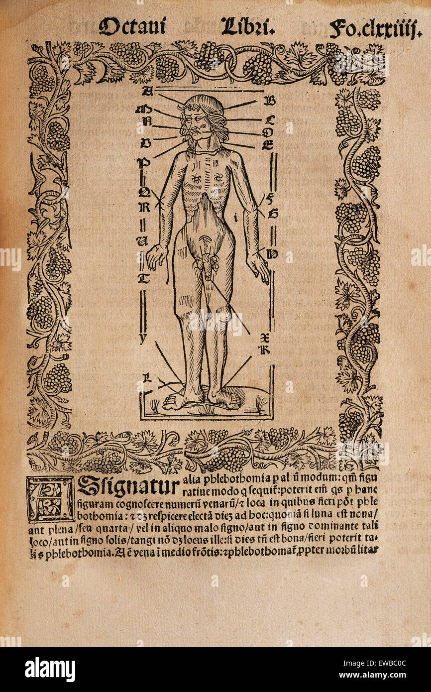 Ramon Llull (1235-1316). Spanish writer and philosopher.  Practica Compendiosa Artis Raymundi Lulli, 1523. Book 8. Medicine subject. Engraving depicting the human body and the influence of the stars (the astrological associations of the human body). Stock Photo