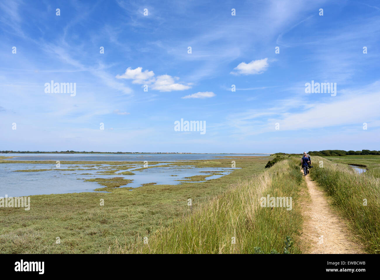 Pagham Harbour, West Sussex, England, an RSPB nature reserve at high tide attracts birdwatchers and photographers. Stock Photo