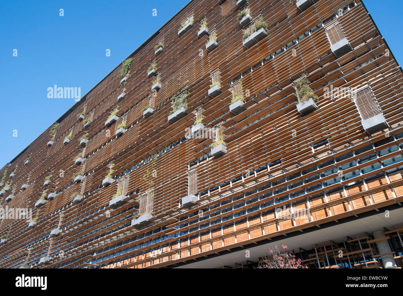 Modern and environmental Nishi Building in New Acton,Canberra , design by Suppose Design Office and Fender Katsalidis, Canberra Stock Photo