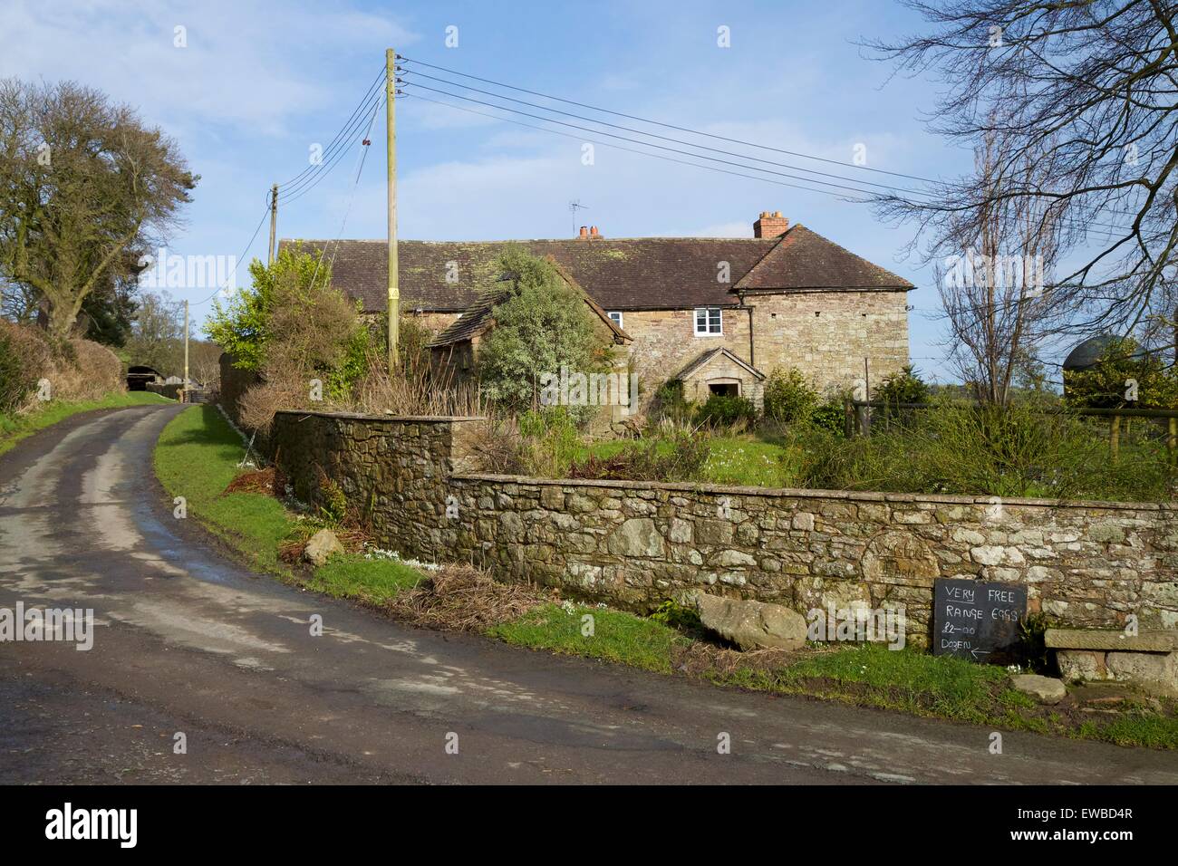 Very Free Range Eggs, Cardington, Shropshire, England, UK, GB Stock Photo