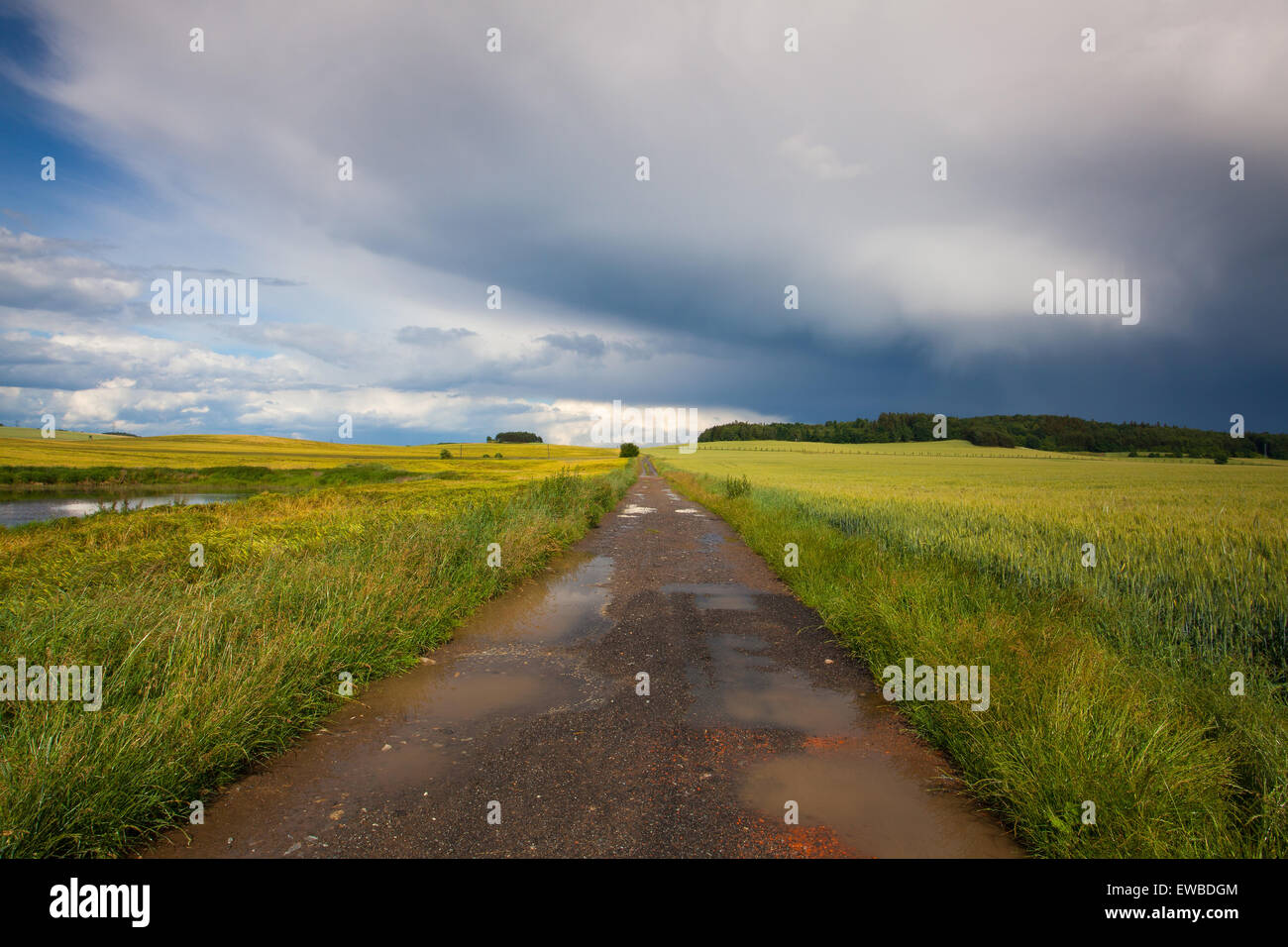 Empty road and summer landscape after heavy storm Stock Photo - Alamy